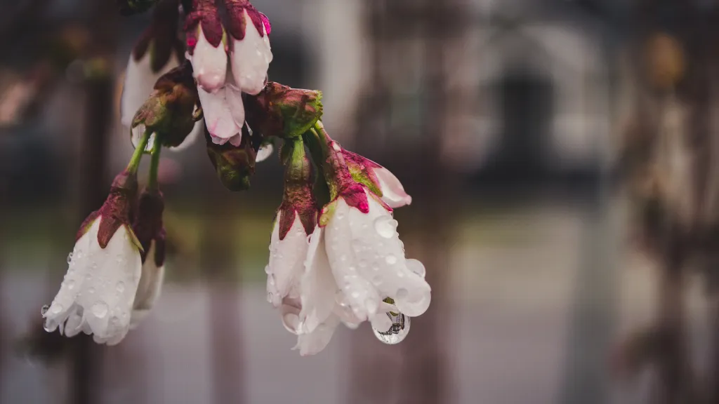 Март(овский бух). Когда муза - весна