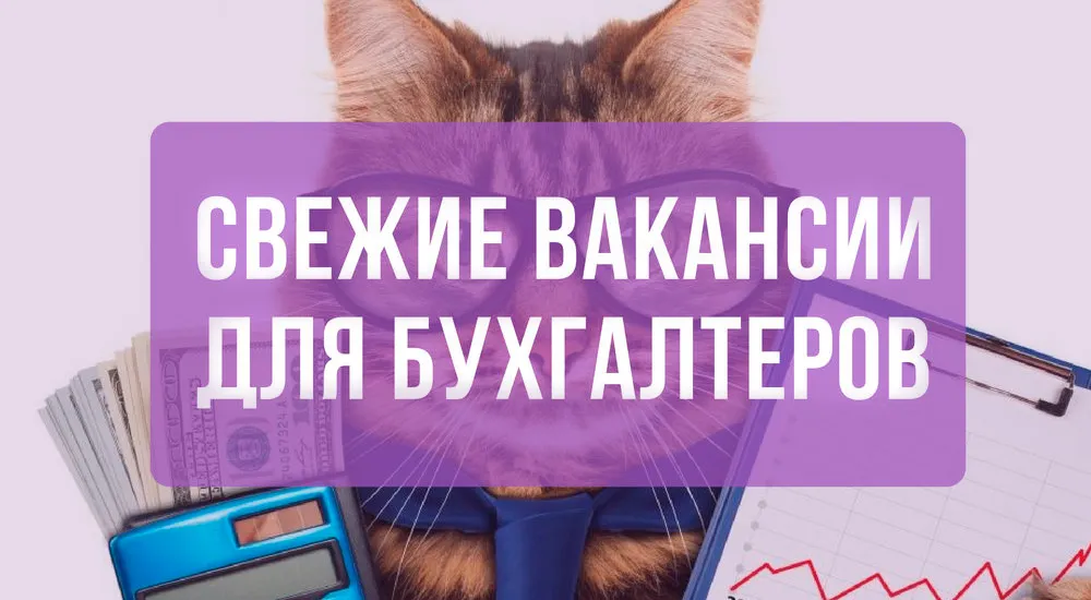 «Клерк» ищет бухгалтерам новую работу
