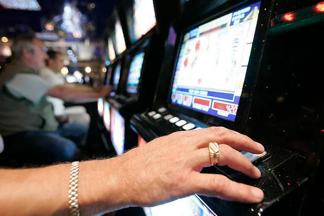В Московской области закрыта крупная сеть подпольных казино