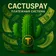 CactusPAY.ORG Платёжная-система