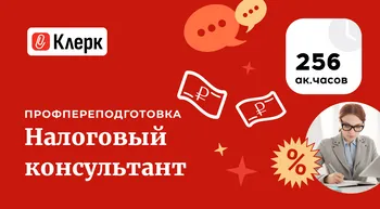 Налоговый консультант