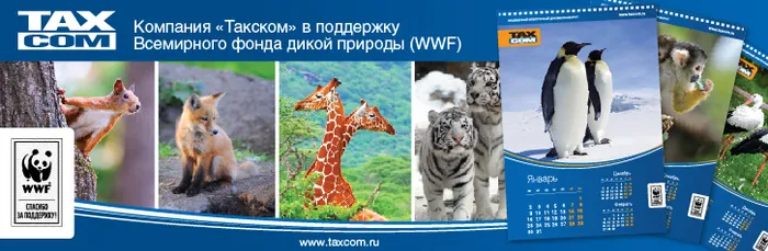 Компания «Такском» стала новогодним партнером WWF