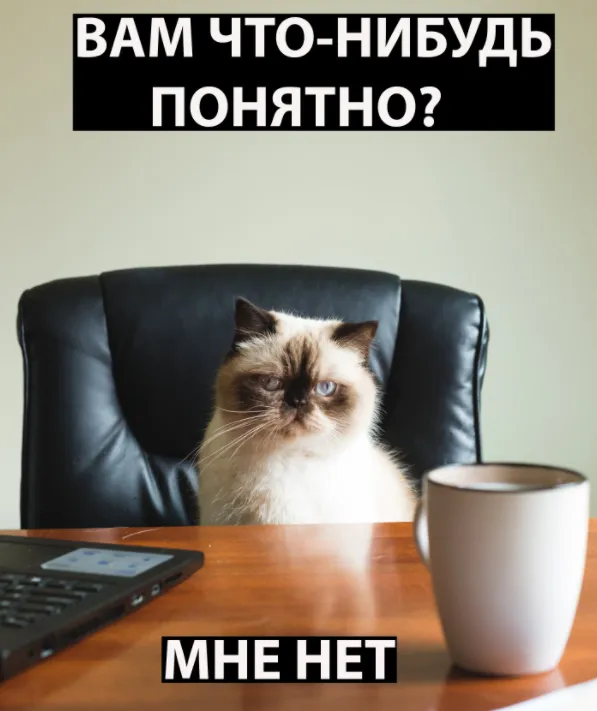 РЕКЛАМА + ПЛОХОЙ САЙТ = СЛИВ БЮДЖЕТА. ТОП 13 ПРОБЛЕМ НА САЙТЕ, КОТОРЫЕ УБИВАЮТ ВАШИ ПРОДАЖИ