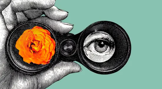 При ликвидации компании стоит запросить сверку в ИФНС, советуют бухгалтеры