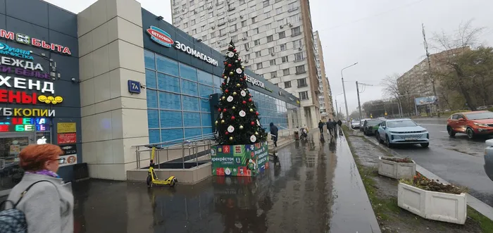 Бухгалтерская сказка: почему елки в октябре — это новый налоговый период?