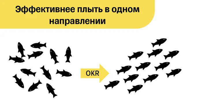 Поставил OKR, а что дальше? Или как провести мониторинг на 12 команд⁠⁠