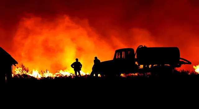 В России зарегистрировано около 6 тысяч лесных пожаров