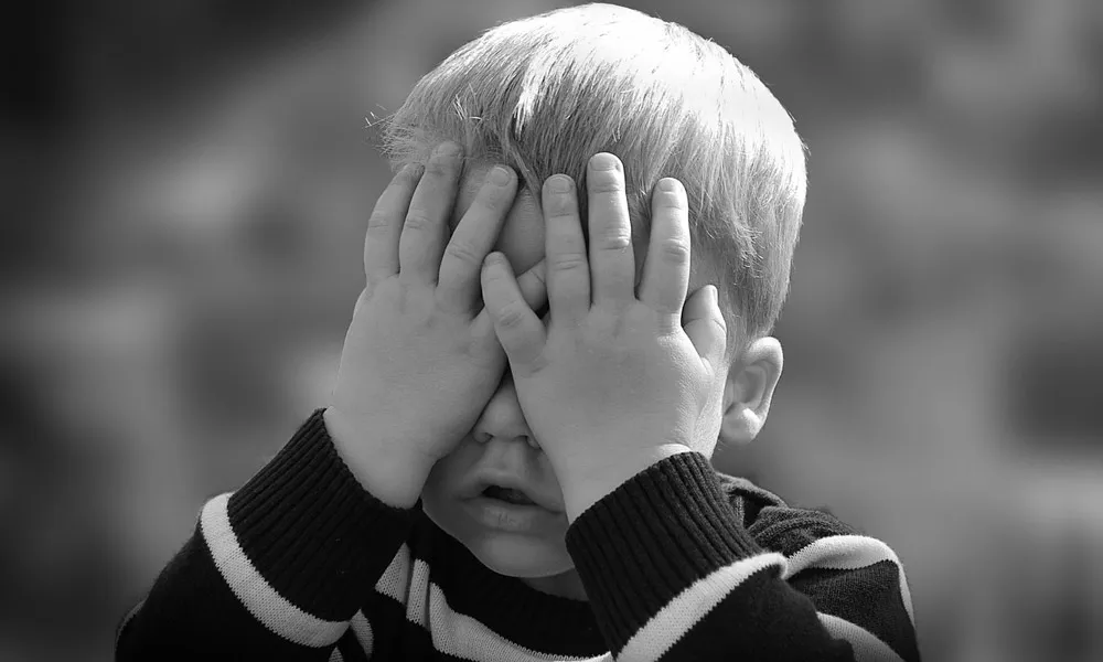Банкротство компании и ответственность руководителя