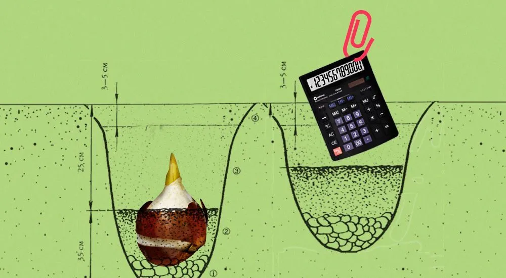 Что бухгалтеры хотят знать про благотворительность