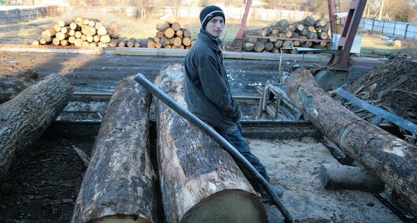 Предложены новые меры по противодействию нелегальным заготовкам древесины