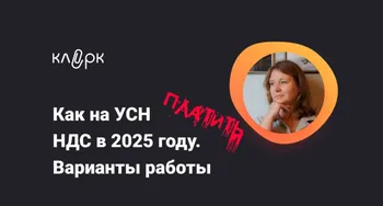 Как на УСН платить НДС в 2025 году. Варианты работы