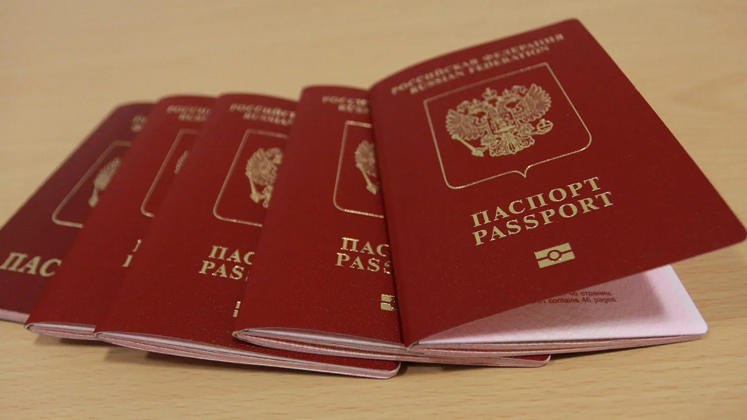 Более 100 тысяч москвичей оформили загранпаспорта через интернет