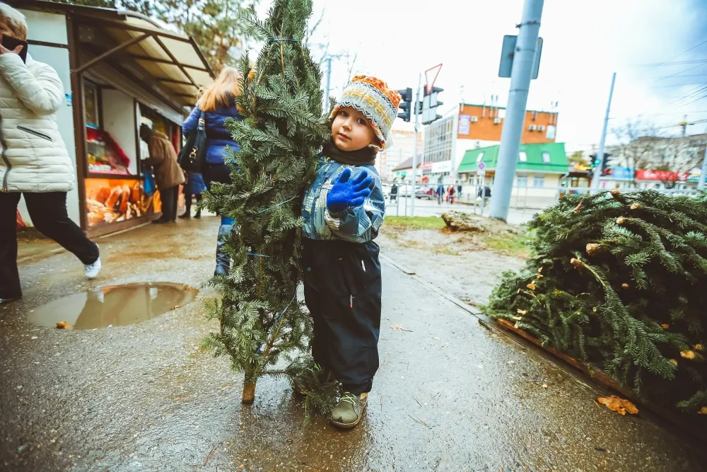 Сенаторы согласились продлить программу материнского капитала