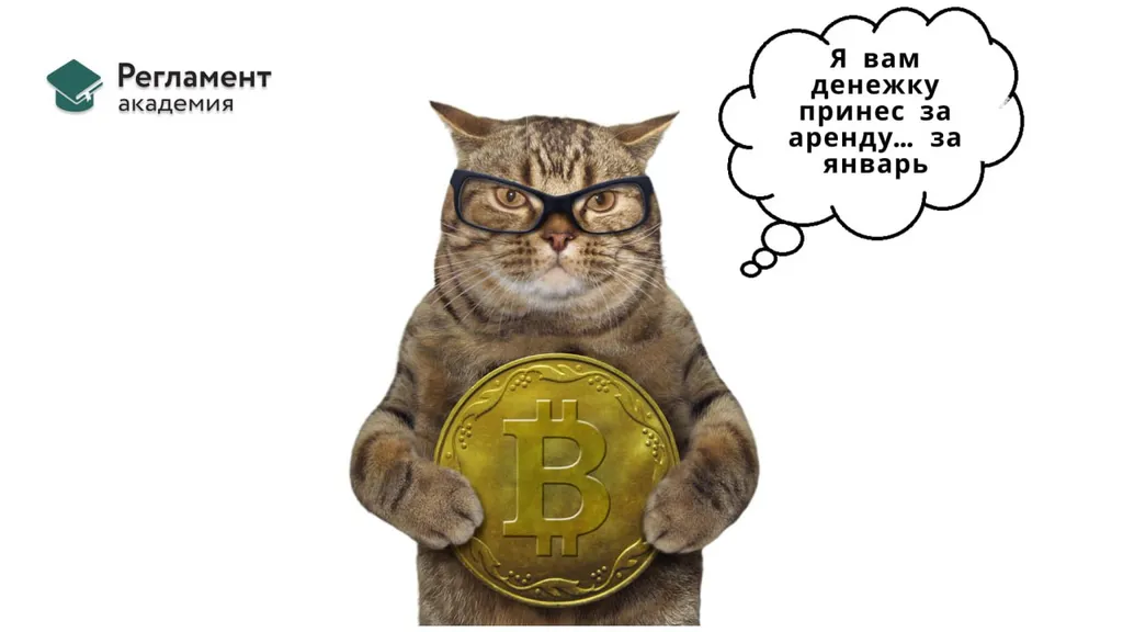 Когда арендодатель должен применять ККТ