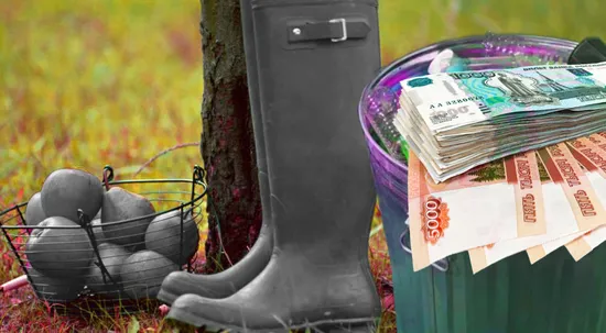 Скважина на своем участке: почему не стоит давать воду соседям и что грозит за глубину более 5 метров