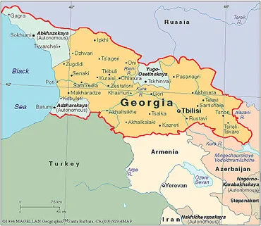 Южная Осетия попросила признать свою независимость