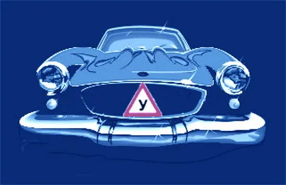 Глава МВД за автоматизацию сдачи экзамена в автошколах