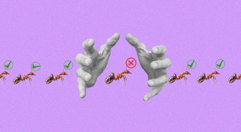 Договор франчайзинга: риски, правила, важные детали