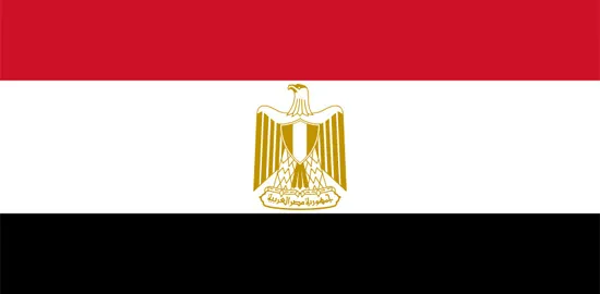 Египет может купить построенные для России «Мистрали»