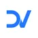 DV Consulting