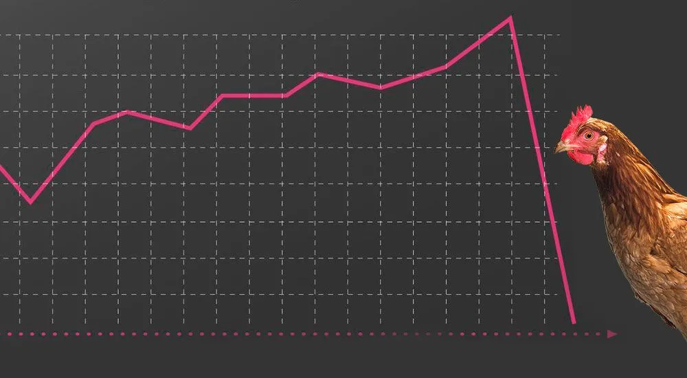 С чем и зачем едят IPO?