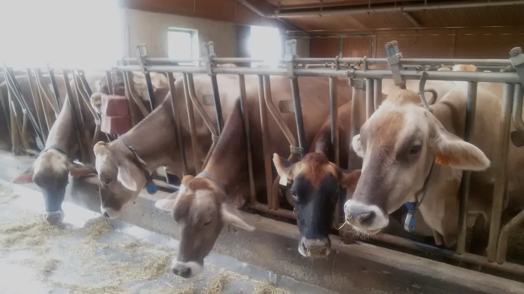 Эксперты назвали регионы с самым дешевым мясом