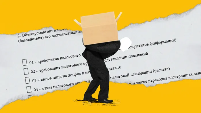 Как обжаловать решение налоговой инспекции: пошаговая инструкция для бизнеса