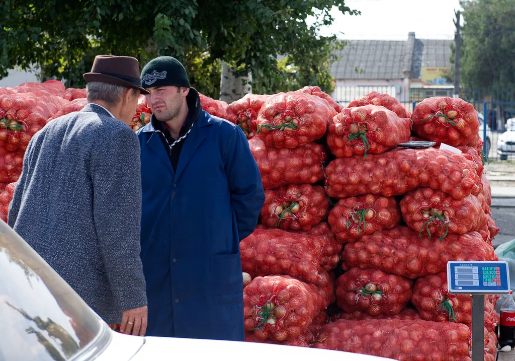 Администрация сибирского поселка закупает продукты на случай войны