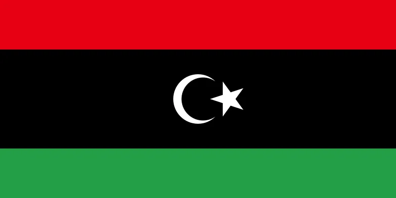 В Ливии вынесен смертный приговор сыну Муаммара Каддафи