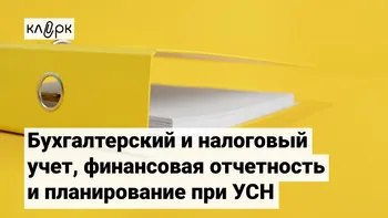 Бухгалтерский и налоговый учет, финансовая отчетность и планирование при УСН