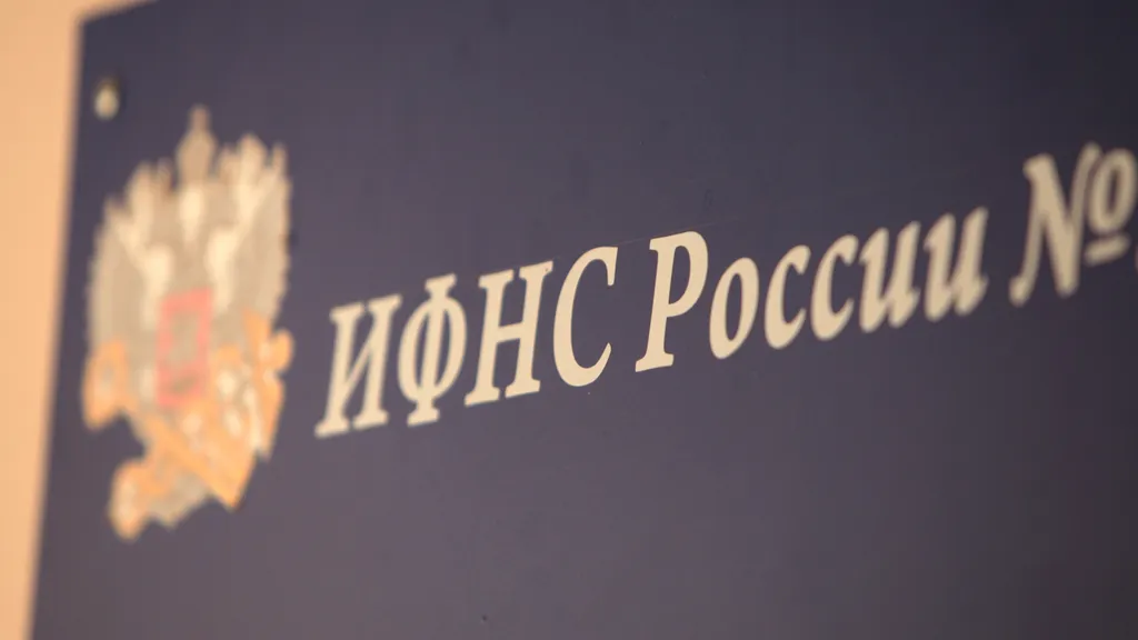 Нижегородские налоговики опубликовали перечень организаций-должников по налогам 