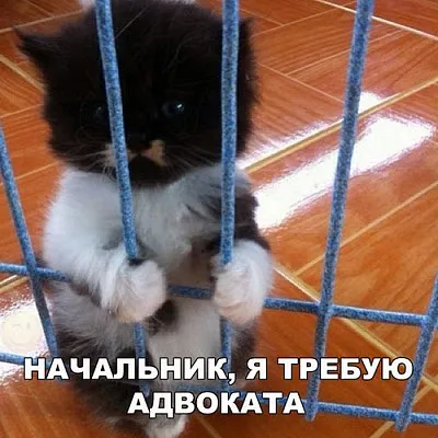 У бухгалтера есть право на свою защиту