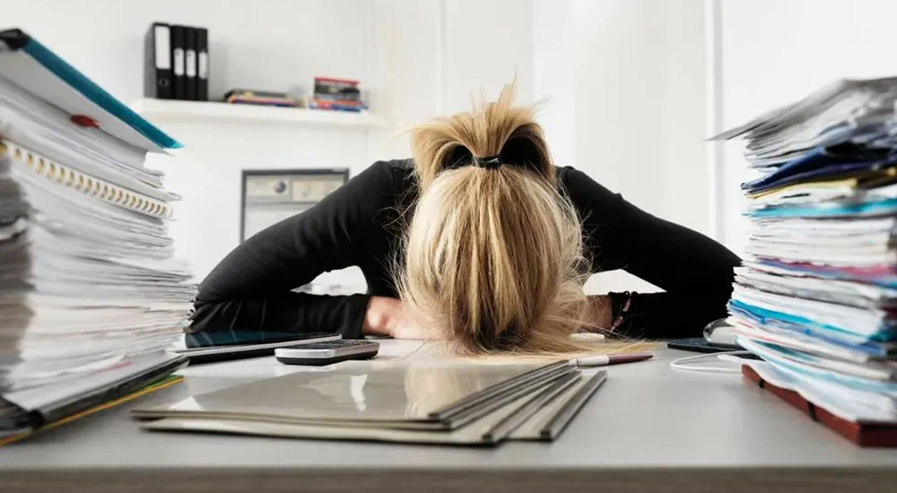 Когда не знаешь, кому поручить какую-либо работу, поручи её бухгалтеру. И тендеры тоже