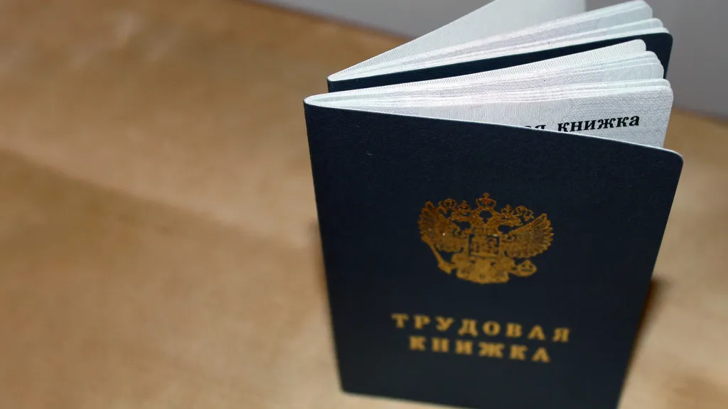 Новая форма трудовой книжки с 2023 года: порядок заполнения
