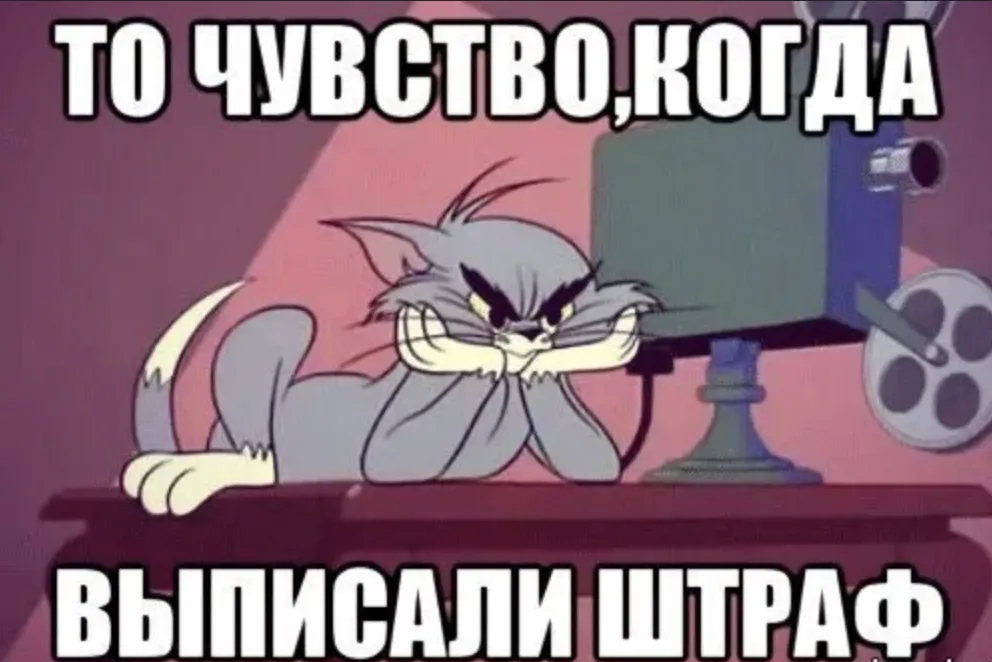 MTAwZGZiLnBuZw.webp