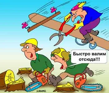 Лесорубы повредили линию электропередачи и отказались возместить ущерб