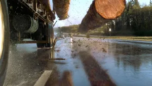 Если вы умерли на работе, насмерть
