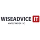 Логотип компании WiseAdvice-IT