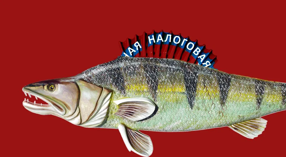 Поговорим о типах занятости и белозерской рыбе