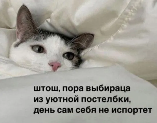 Эти ваши утры — ImgHub.ru