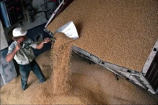 Приморье закупило зерно с 25% скидкой