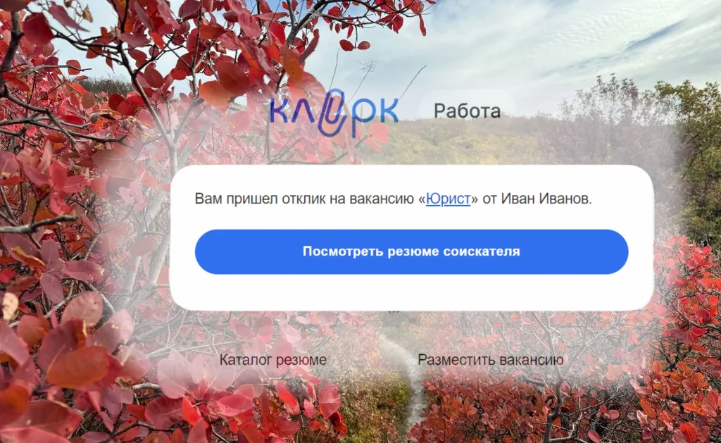 Научились сворачивать ленту мнений, сделали отклики на вакансию