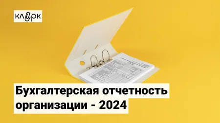 Бухгалтерская отчетность организации - 2024