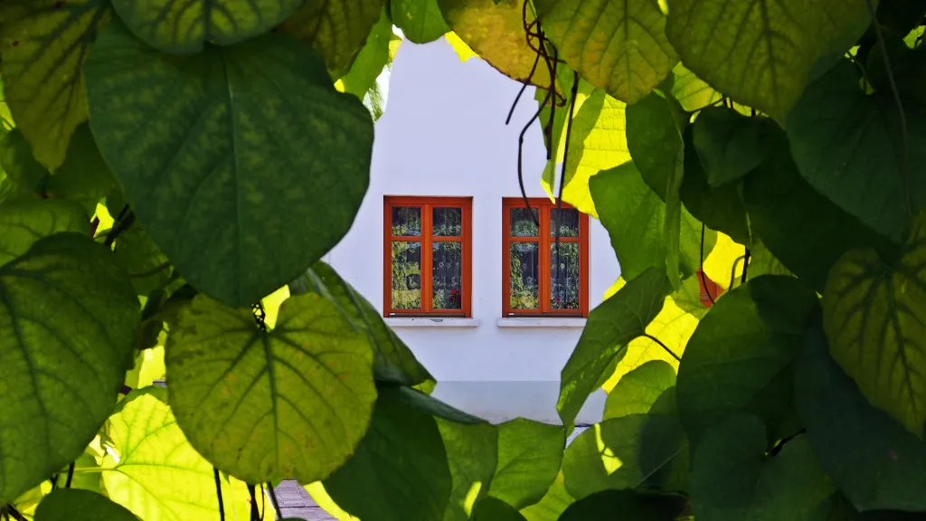 Не успели оформить документы? Дачная амнистия продлена  