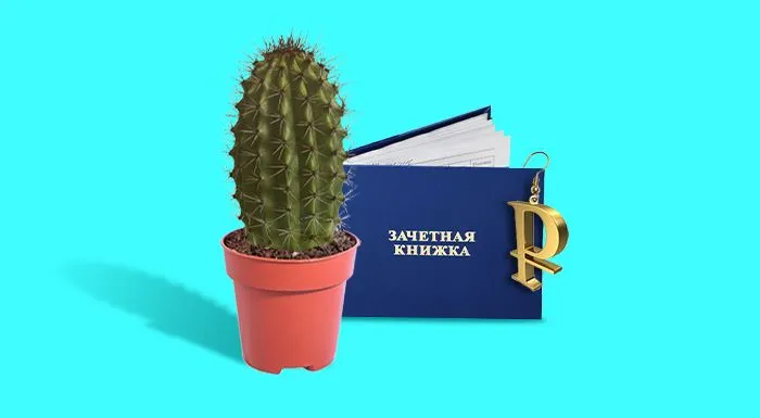 Неделя анонимного бухгалтера. М. из Йошкар-Олы: студентка на практике с любовью к кактусам и Алиэкспресс, мечты о Газпроме и почему главбух негодует