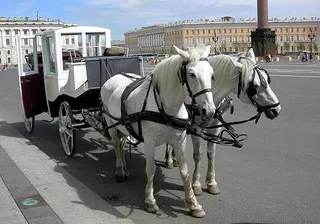 В Петербурге запретят движение карет
