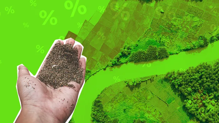 Иллюстрация: Вера Ревина/Клерк.ру