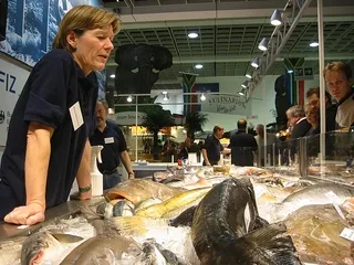 Государство будет контролировать оборот продукции из осетровых