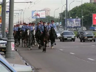 В Нижнем Новгороде пройдут соревнования конных отрядов милиции