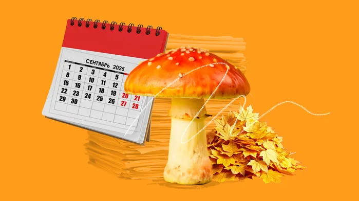 Важные изменения осени 2025: готовим документооборот и налоговый учет — разбор и рекомендации аудитора (ч. 1)